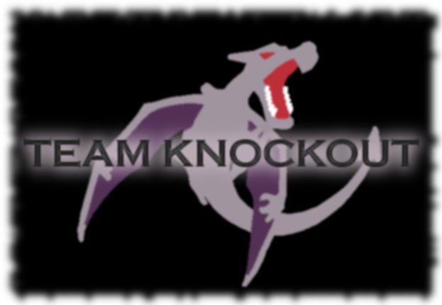 FSPR 40 Team Knockout’s All Region Tour 2013