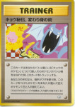 Pokémon Golbat Trainer Card with Swastika