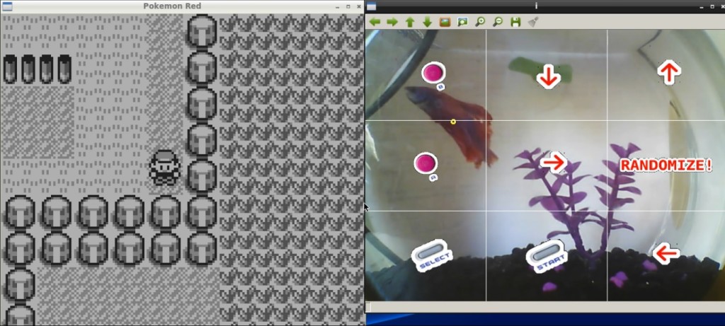 Fish Plays Pokémon Screenshot from Twitch.TV